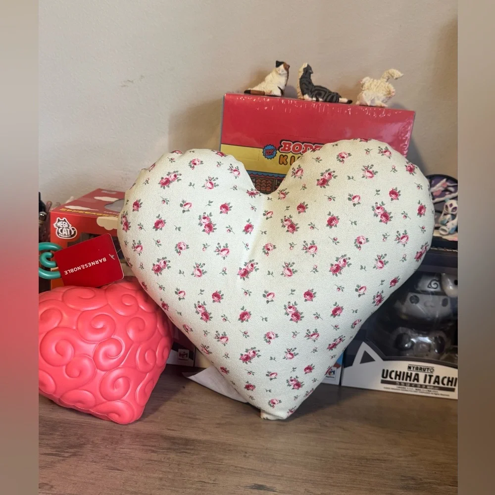 Barnes and Noble Valentine’s Day Book Lover Pillow - NWT - Picture 4 of 5